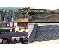 工程承包 在现代建筑与管理中的关键作用